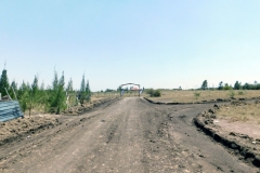 DSCN2113