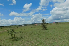 DSCN2485
