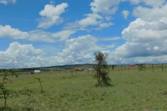 DSCN2486