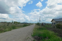 DSCN2574